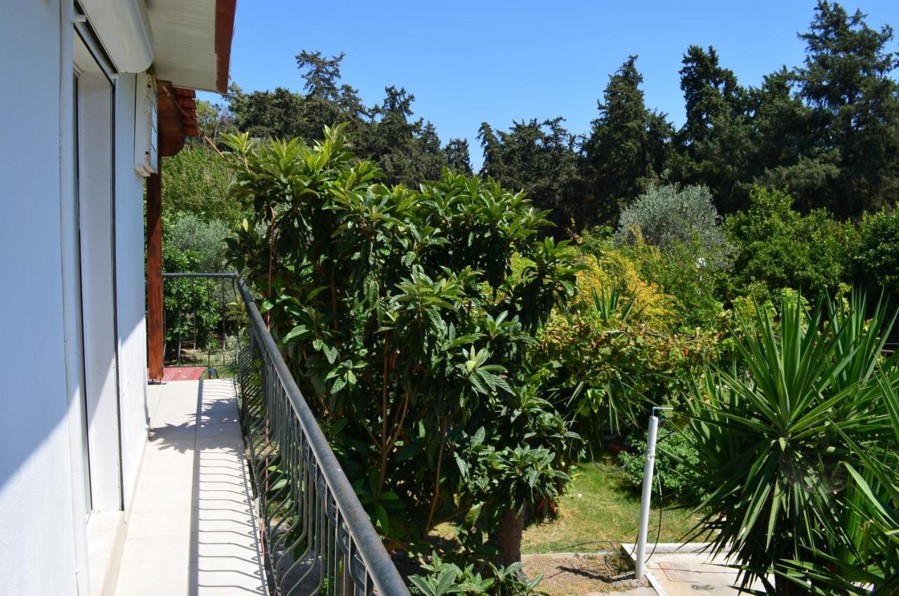 Artemis Studios - Pool And Garden Koskinou  Exterior photo